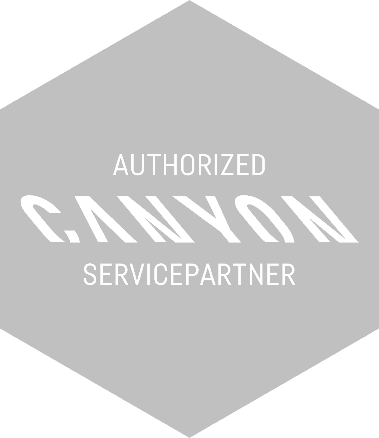 Canyon logo harmaa