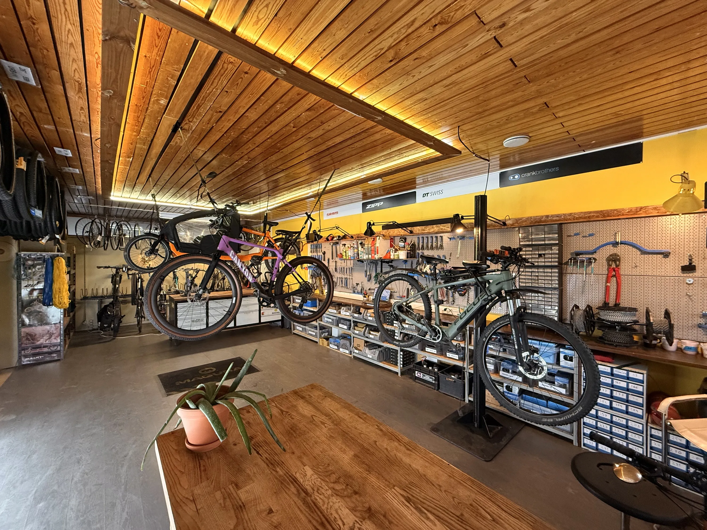 Polkupyöräliike, jossa on puinen katto, kaksi polkupyörää roikkuu ilmassa ja yksi on telineessä. Työkalut ja varaosat ovat hyllyillä.