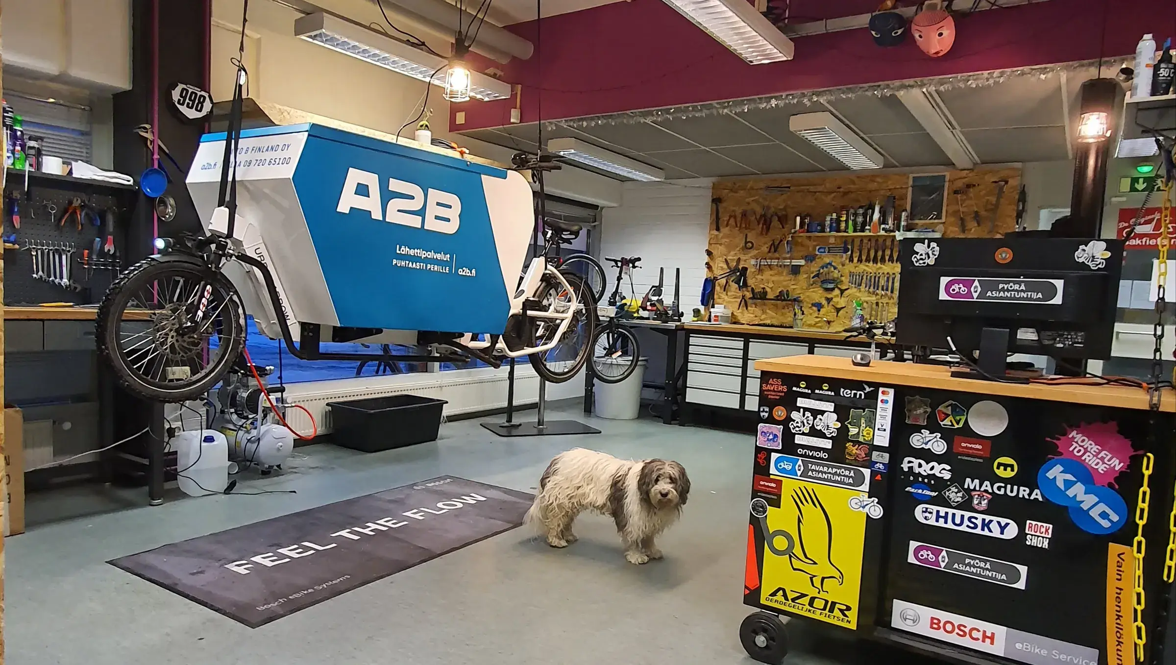Valoisassa pyöräverstaassa on A2B-merkkinen tavarapyörä, työkaluja, tarroilla koristeltu työpöytä ja Bosch-matto. Keskellä seisoo valkoinen koira.